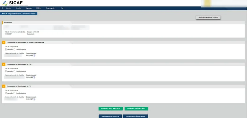 Tela do Nível III com os blocos de comprovante da Receita Federal e PGFN, do FGTS e do TST, cada um com tipo de comprovante, código de controle e data de validade
